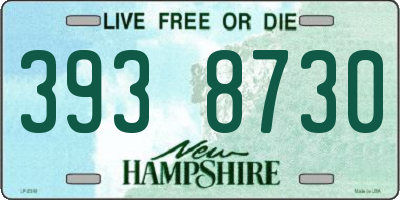 NH license plate 3938730
