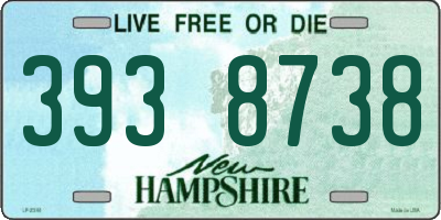 NH license plate 3938738