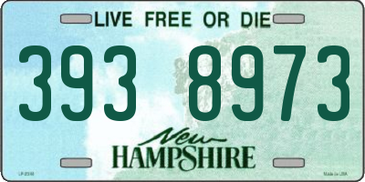 NH license plate 3938973