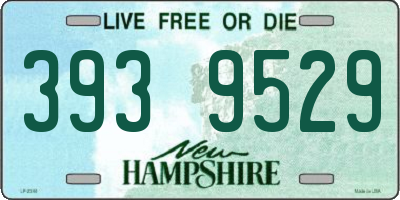 NH license plate 3939529