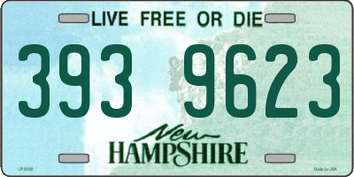 NH license plate 3939623