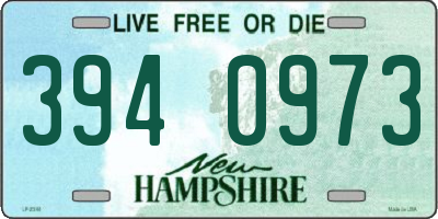 NH license plate 3940973