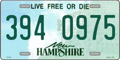 NH license plate 3940975