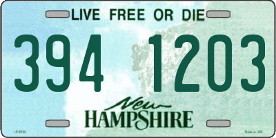 NH license plate 3941203