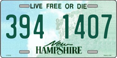NH license plate 3941407