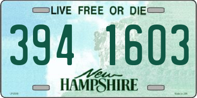 NH license plate 3941603