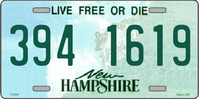 NH license plate 3941619
