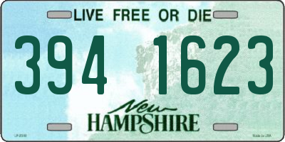NH license plate 3941623