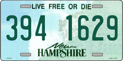 NH license plate 3941629