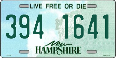 NH license plate 3941641