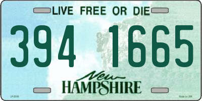 NH license plate 3941665