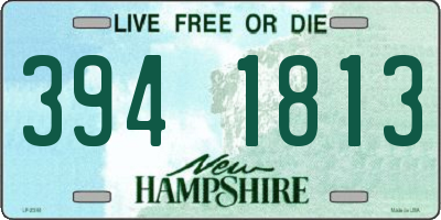 NH license plate 3941813