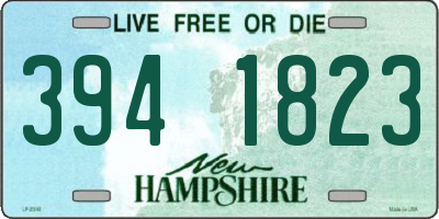 NH license plate 3941823