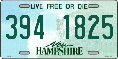 NH license plate 3941825