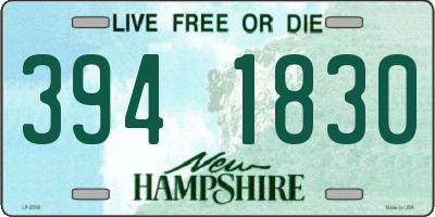 NH license plate 3941830