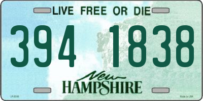 NH license plate 3941838