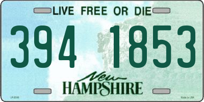 NH license plate 3941853