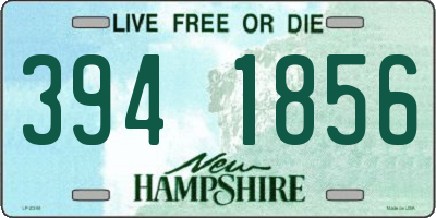 NH license plate 3941856