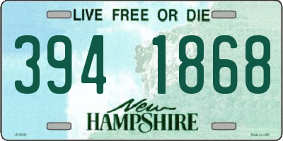 NH license plate 3941868