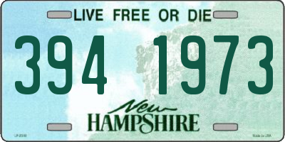 NH license plate 3941973