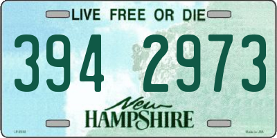 NH license plate 3942973