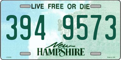 NH license plate 3949573