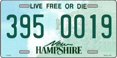 NH license plate 3950019