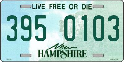NH license plate 3950103