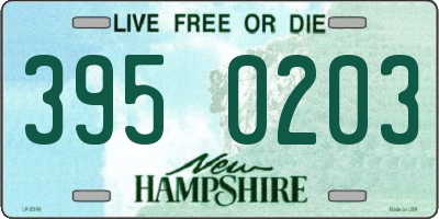 NH license plate 3950203