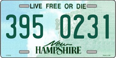 NH license plate 3950231