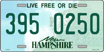 NH license plate 3950250