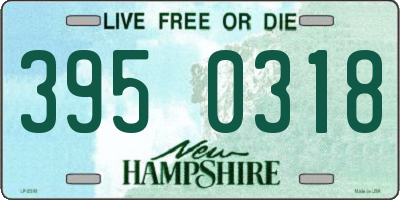 NH license plate 3950318
