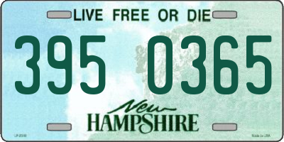 NH license plate 3950365