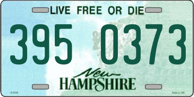 NH license plate 3950373