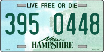 NH license plate 3950448