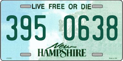 NH license plate 3950638