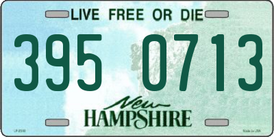 NH license plate 3950713