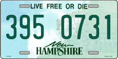 NH license plate 3950731