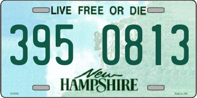 NH license plate 3950813