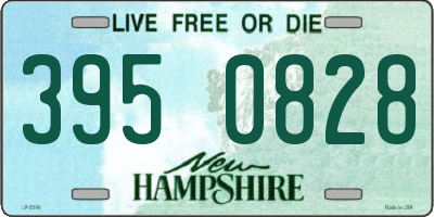 NH license plate 3950828