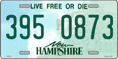 NH license plate 3950873