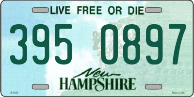 NH license plate 3950897