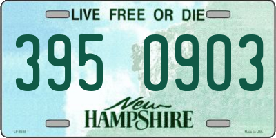 NH license plate 3950903
