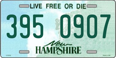 NH license plate 3950907