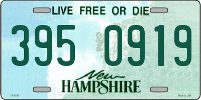 NH license plate 3950919