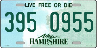 NH license plate 3950955