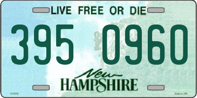 NH license plate 3950960