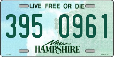 NH license plate 3950961