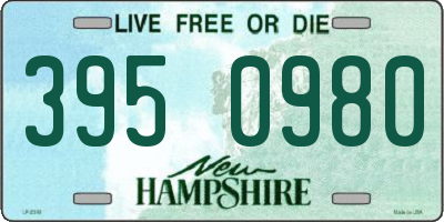 NH license plate 3950980