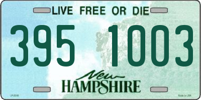 NH license plate 3951003